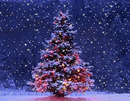 Xgt3 glitterneige 3